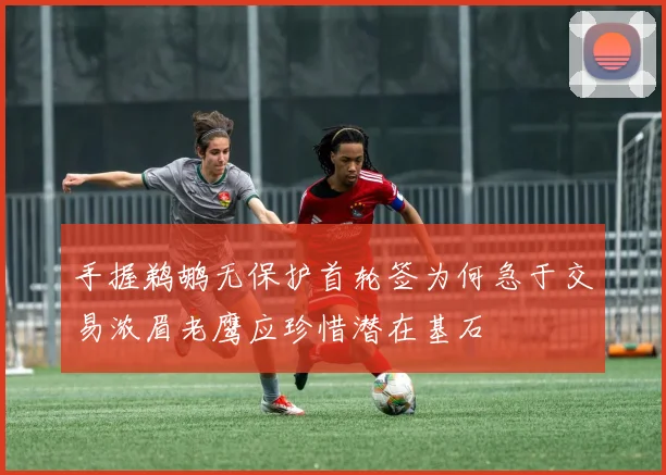 手握鹈鹕无保护首轮签为何急于交易浓眉老鹰应珍惜潜在基石